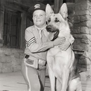 Rin Tin Tin