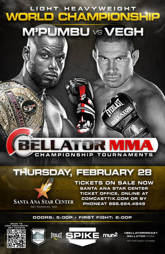 Bellator 91 (2013)