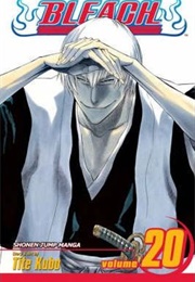 Bleach Volume 20 (Tite Kubo)