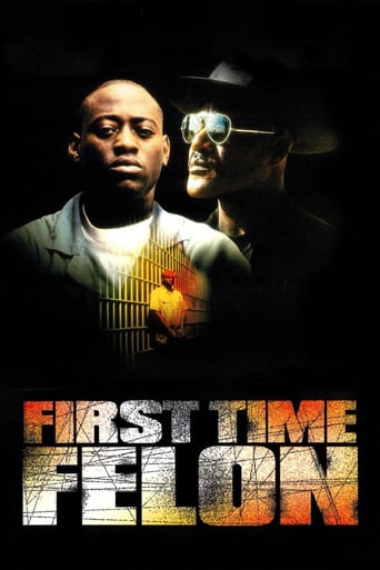 First Time Felon (1997)