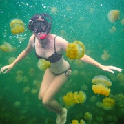 Jellyfish Lake of Eil Malk