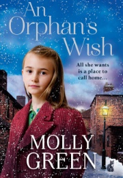 An Orphan&#39;s Wish (Molly Green)