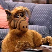 ALF Is Gordon Shumway