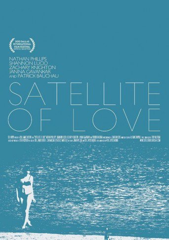 Satellite of Love (2013)