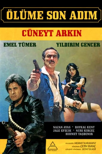 Turkish Mad Max (1983)