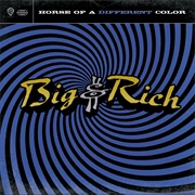 Big &amp; Rich - Horse of a Different Color