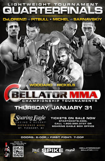 Bellator 87 (2013)