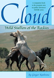 Cloud: Wild Stallion of the Rockies (Ginger Kathrens)