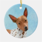 American Hairless Terrier Ornament