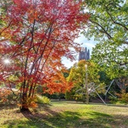 Wellesley College, Massachusetts