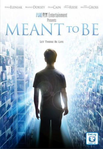 Meant to Be (2012)