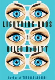 Lightning Rods (Helen Dewitt)