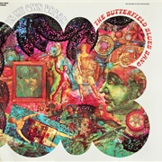 Paul Butterfield Blues Band - In My Own Dream