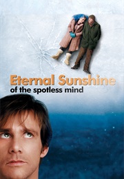 Eternal Sunshine of the Spotless Mind (Michel Gondry)