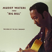 Muddy Waters - Muddy Waters Sings Big Bill Broonzy