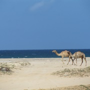 Berbera, Somalia