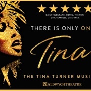 Tina the Musical