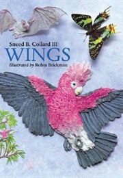 Wings (Sneed B. Collard)