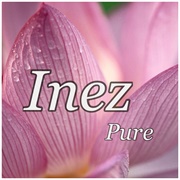 Inez