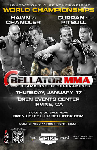 Bellator 85 (2013)