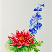 June-Larkspur/Water Lily