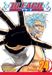 Bleach Volume 24 (Tite Kubo)