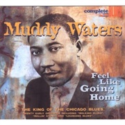 Muddy Waters - Feel Like Going Home