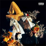 Kojey Radical - Cashmere Tears