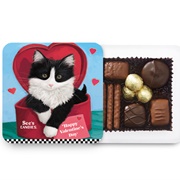 See&#39;s Kitty Valentine Box