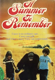 A Summer to Remember (1985)