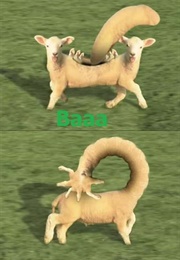 Baaa (2011)