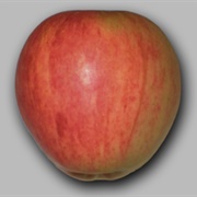 Bardsey Island Apple