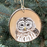 Barred Owl Ornament