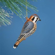 American Kestrel Ornament