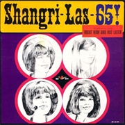 The Train From Kansas City - The Shangri-Las