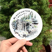 Blackwater Ornament