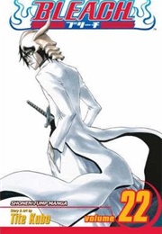 Bleach Volume 22 (Tite Kubo)