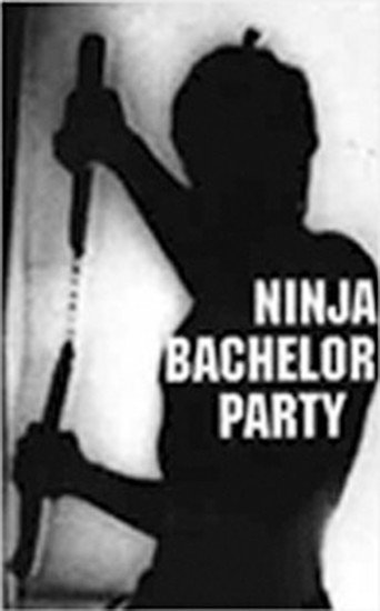 Ninja Bachelor Party (1991)