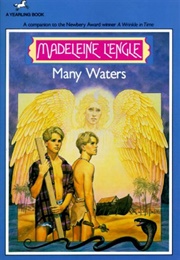 Many Waters (Madeleine L&#39;engle)