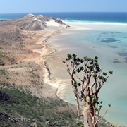 Detwah Lagoon Ramsar Site