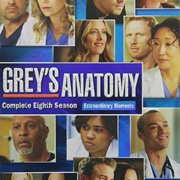 Grey&#39;s Anatomy Season 8