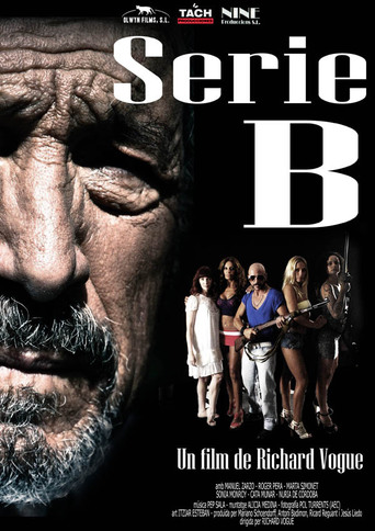 Serie B (2011)