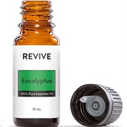 Eucalyptus Essential Oil