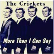 More Than I Can Say - The Crickets