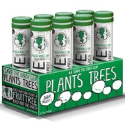 Project 7 Fruit Tree Gum