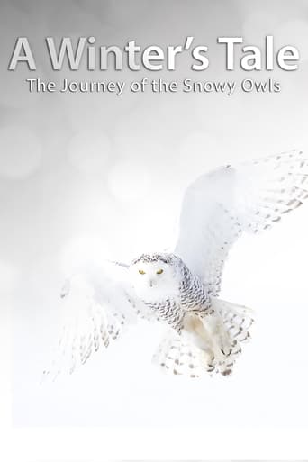 A Winter&#39;s Tale: The Journey of the Snowy Owls (2014)