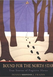 Bound for the North Star: True Stories of Fugitive Slaves (Dennis Brindell Fradin)