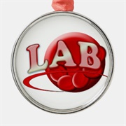 Lab Tech Ornament