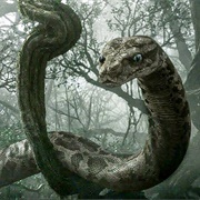 Kaa (The Jungle Book Live Action)