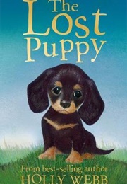 The Lost Puppy (Holly Webb)